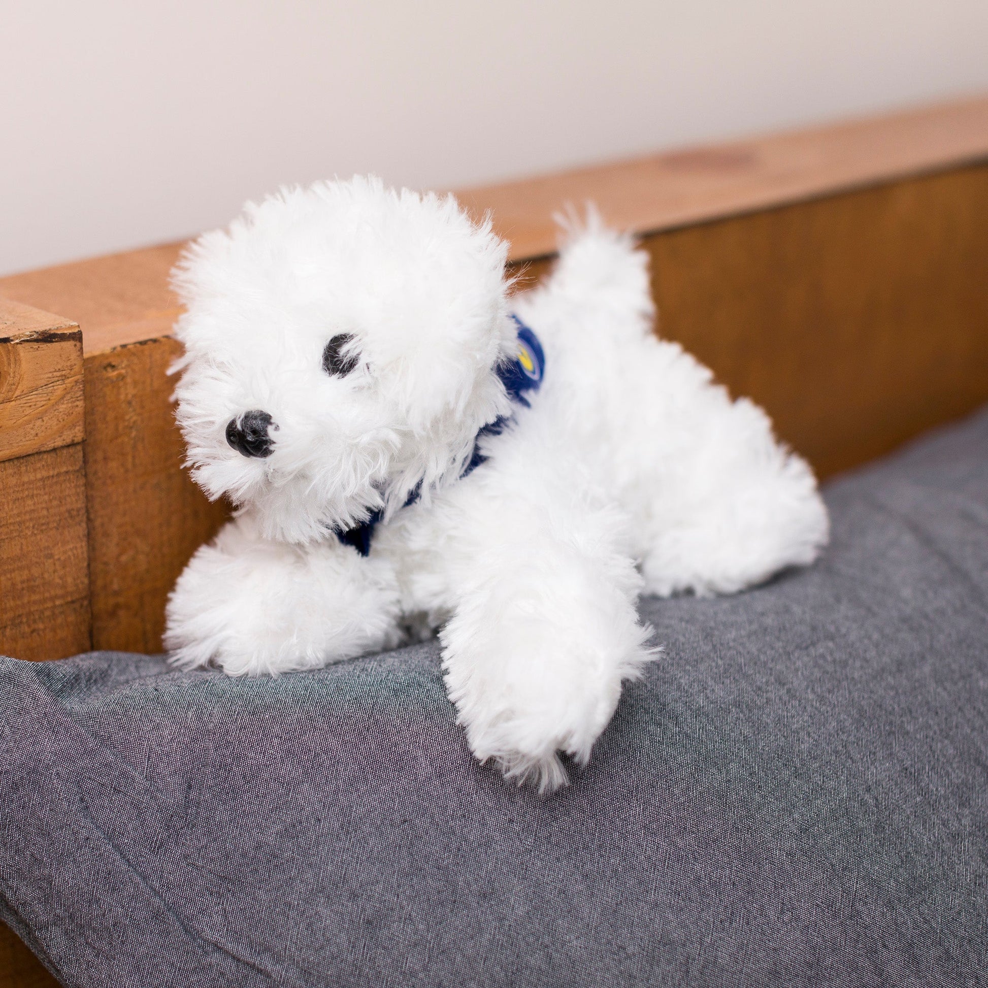 Small Snowball Bichon Frise stuffed animal wearing a royal blue branded mane 'n tail bandana. Standing on a cushion