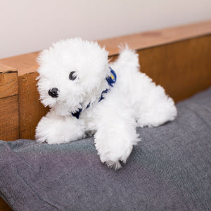 Small Snowball Bichon Frise stuffed animal wearing a royal blue branded mane 'n tail bandana. Standing on a cushion