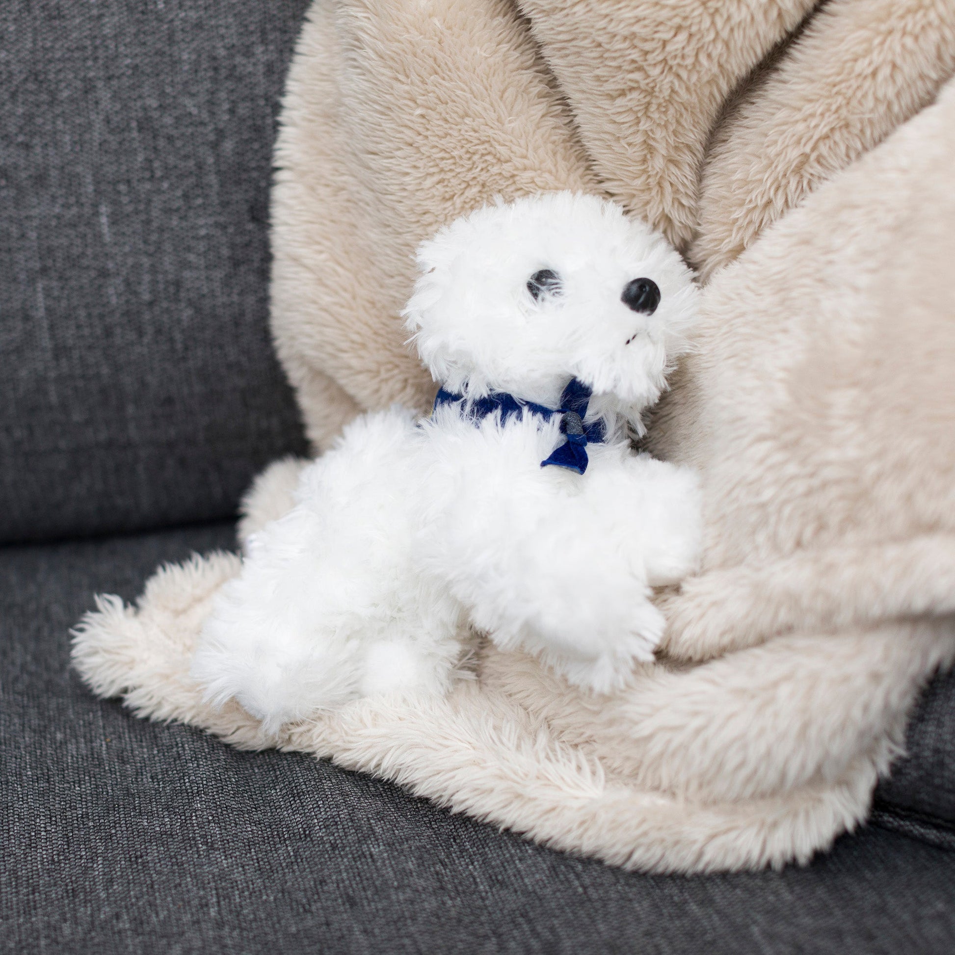 Small Snowball Bichon Frise stuffed animal wearing a royal blue branded mane 'n tail bandana. Standing on a blanket