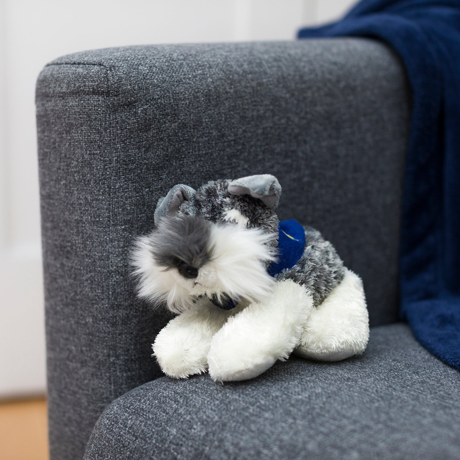 Small Stein Schnauzer stuffed animal wearing a royal blue branded mane 'n tail bandana. Standing in a couch