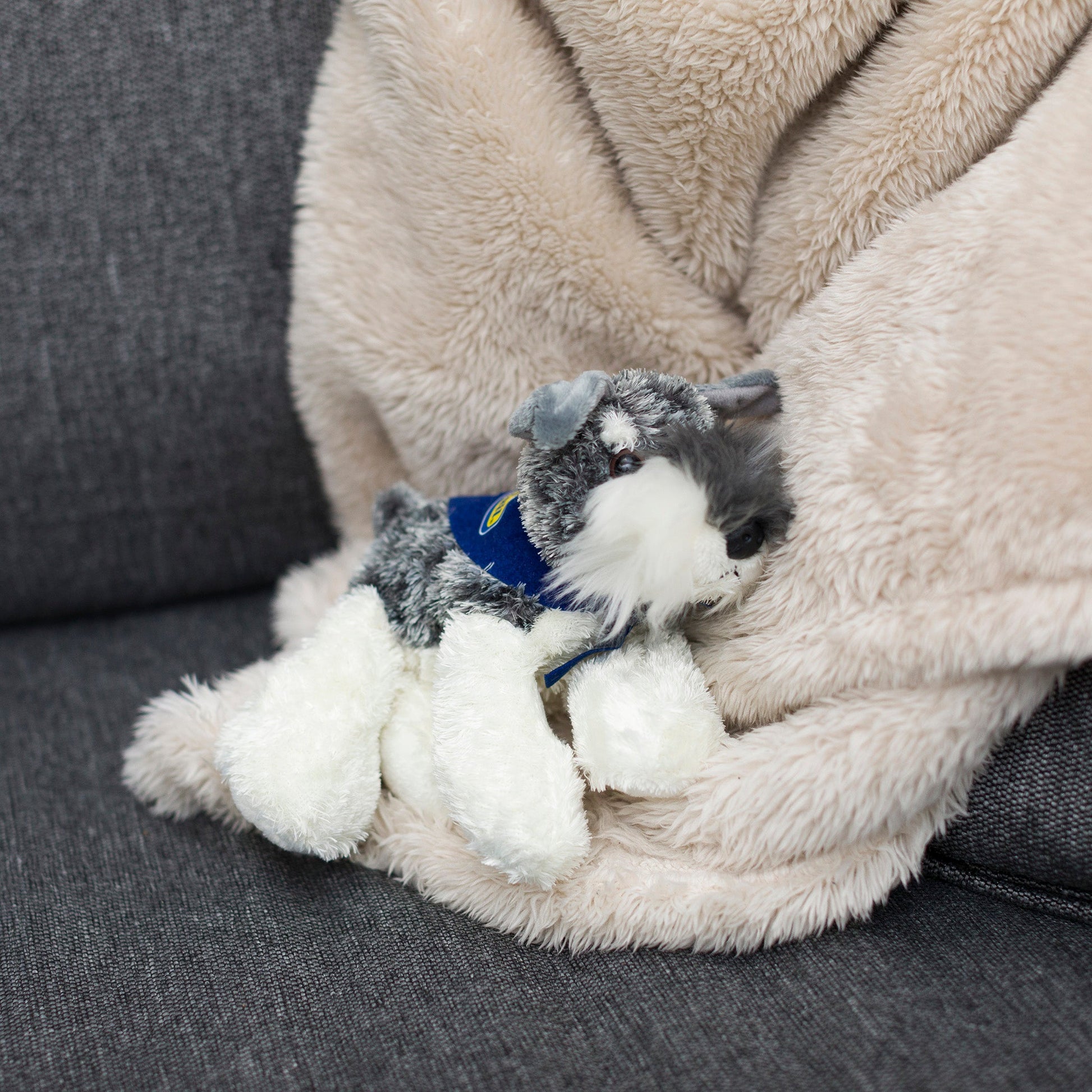 Small Stein Schnauzer stuffed animal wearing a royal blue branded mane 'n tail bandana. Standing in a blanket.