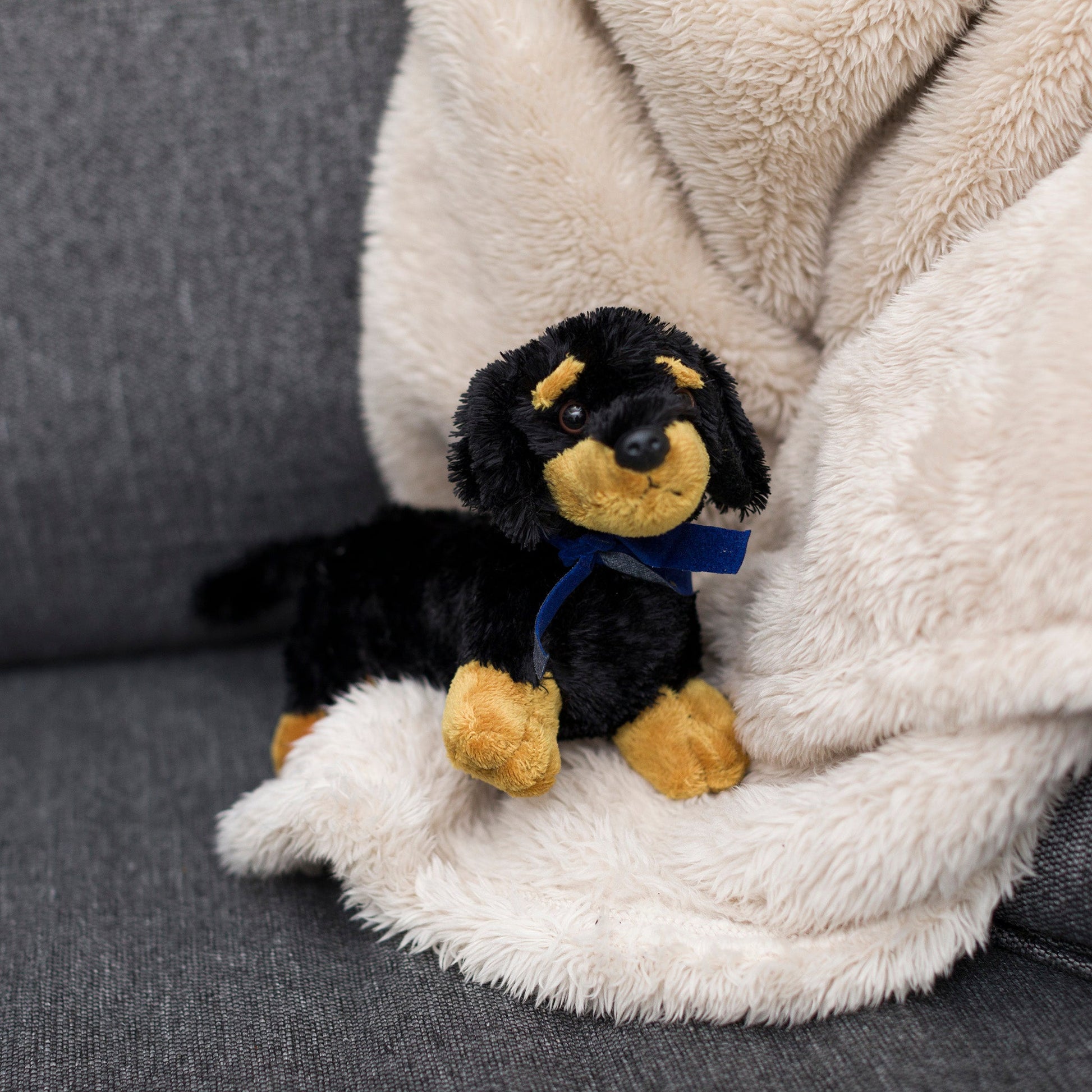 Small Vienna Dachshund stuffed animal wearing a royal blue branded mane 'n tail bandana. Sitting on a blanket